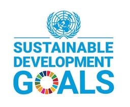 UN SDGs