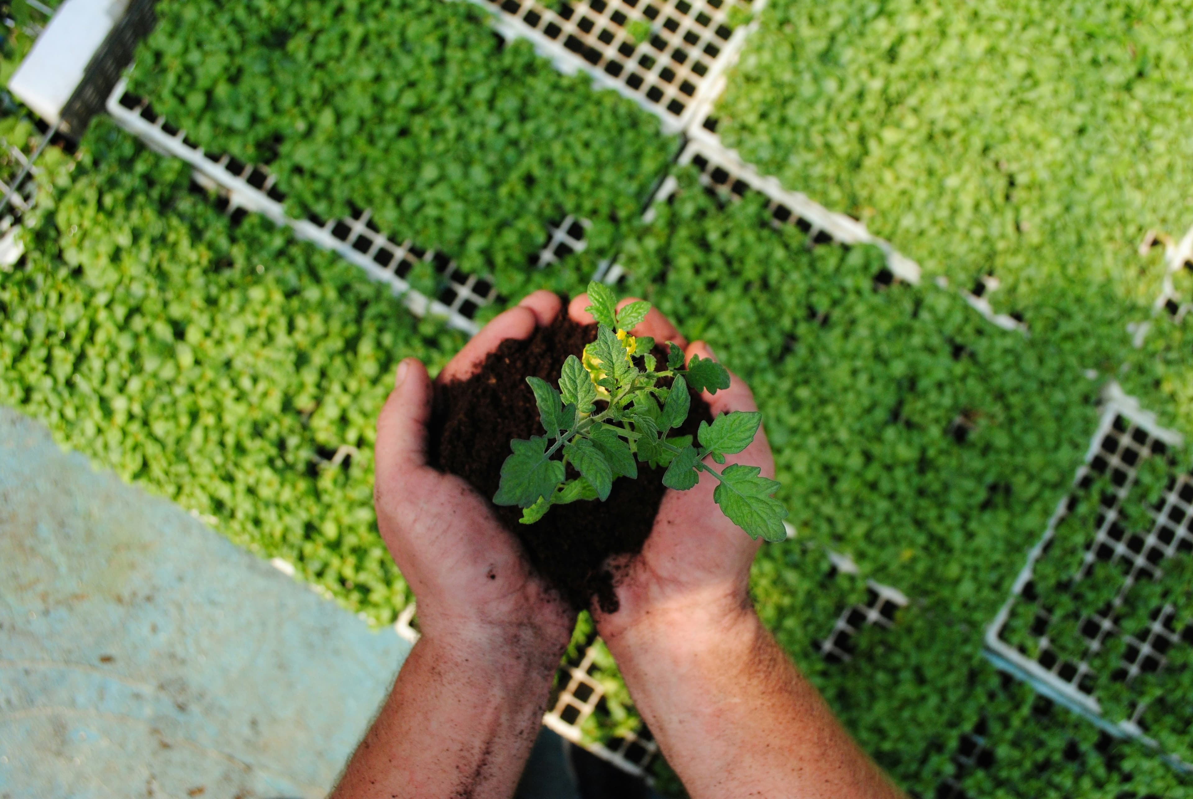 Kakinada Bio-methanation Plant